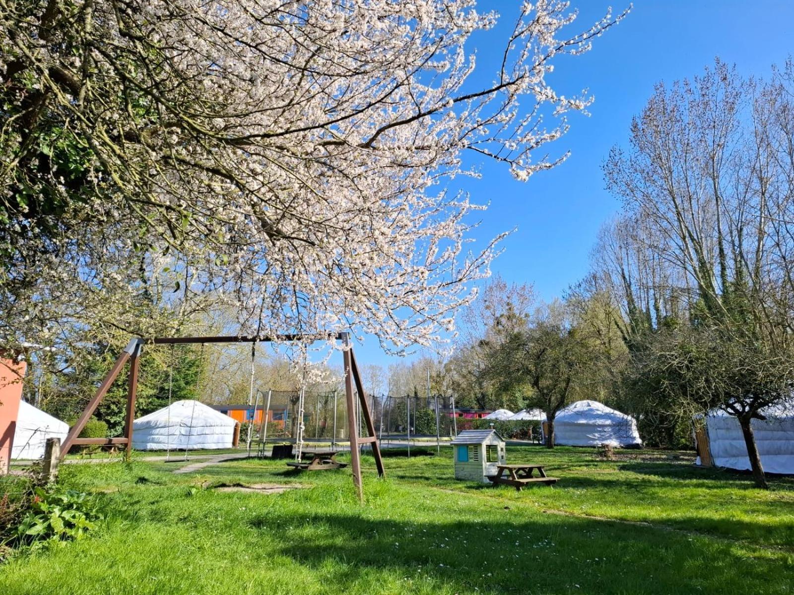 Le Village Insolite Yourte Et Roulotte Saint-Benoît-des-Ondes Exteriér fotografie